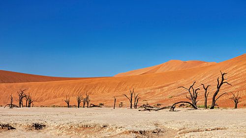 Le Deadvlei en Namibie