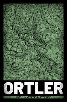 Ortler | Landkarte Topografie (Grunge)