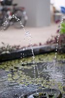 Wasserspirale