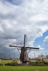 Kinderdijk von Luc Buthker