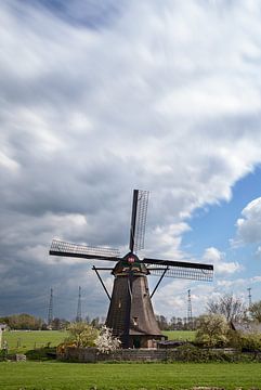 Kinderdijk van Luc Buthker