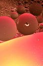 Red Planets van Marcel van Rijn thumbnail