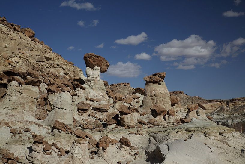 Hoodoo Forest (Rimrocks North) Grand Staircase-Escalante National Monument  im Süden Utahs, USA von Frank Fichtmüller