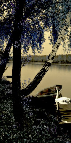 La nuit des cygnes par Christine Nöhmeier