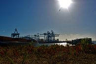 Rotterdamse Haven van Pieter Voogt thumbnail