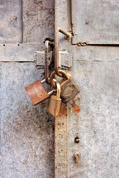 Rusty padlocks on an old gray painted metal gate by Tony Vingerhoets