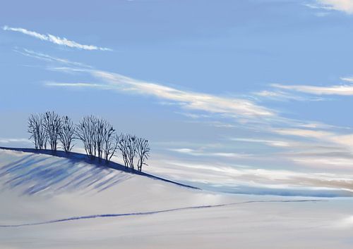 Winterlandschap in de zon