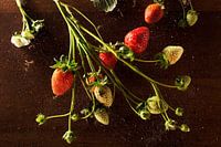 Aardbeien