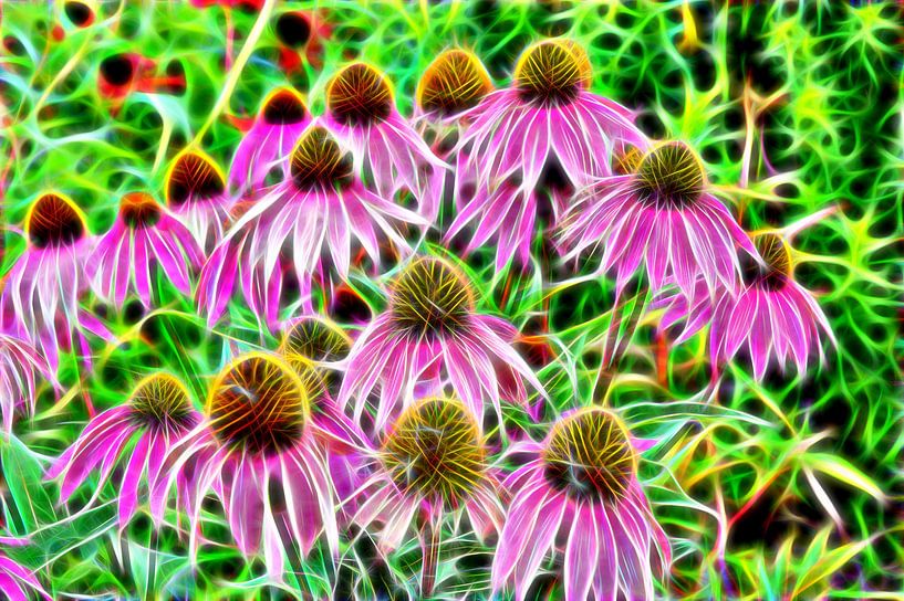 Neonflowers par Edgar Schermaul