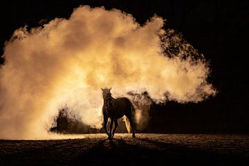 Horse running towards you through the smoke by Femke Ketelaar