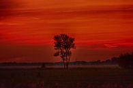 Avondrood in de Herfst van FotoGraaG Hanneke thumbnail