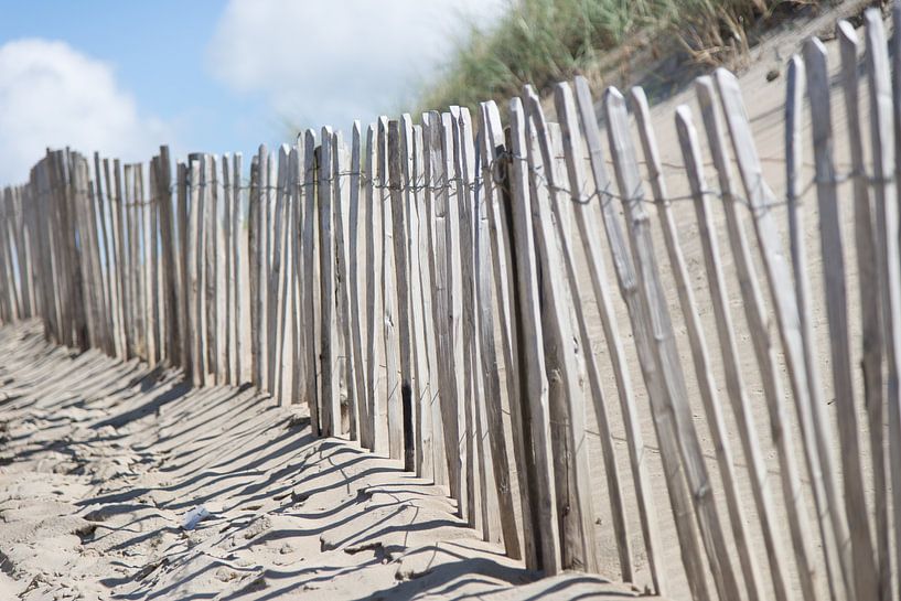 Duinhekje, Noordwijk par Jeroen Nieuwenhoff
