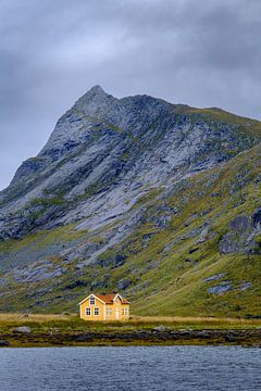 Vindstad, Lofoten, Norwegen von Francis Langenbick