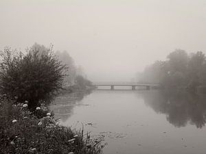 River Amper In Fog