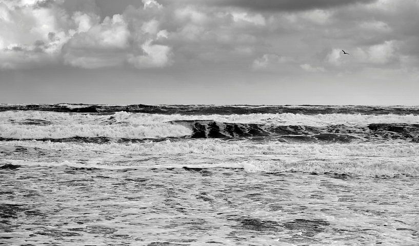 Meer und Wellen in Schwarz und Weiß von Jose Lok