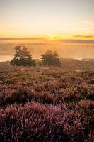 A misty moor at a beautiful dawn