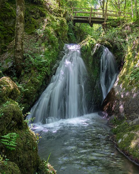 Vallée de l'Endert sauvage, Eifel, Rhénanie-Palatinat, Allemagne par Alexander Ludwig