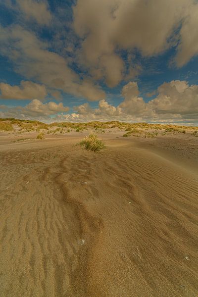 De Hors Dunes by Andy Luberti