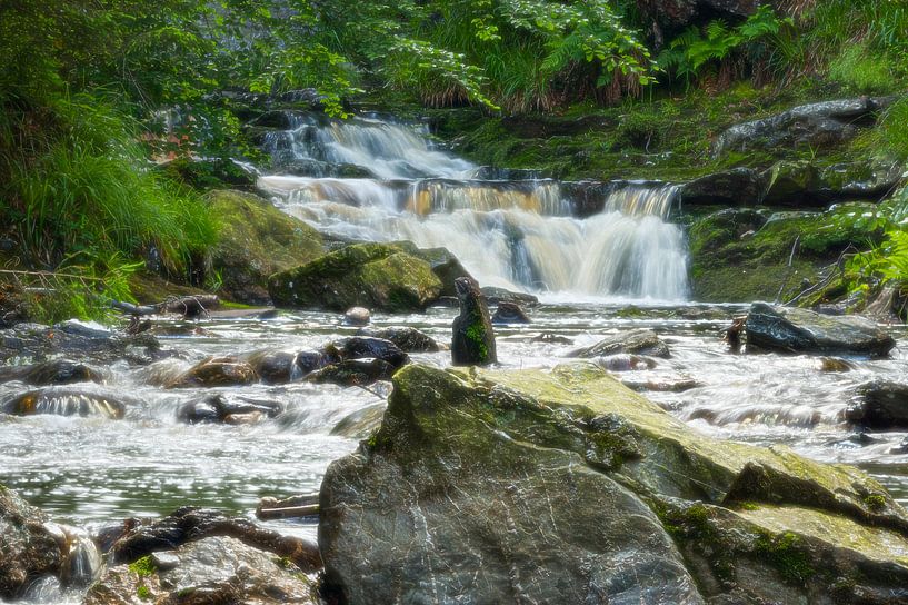 Hoëgne, Ardennen van Leo Kramp Fotografie