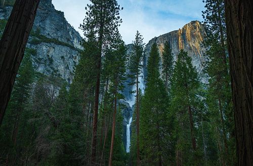 Yosemite Falls - Hidden in the Forest
