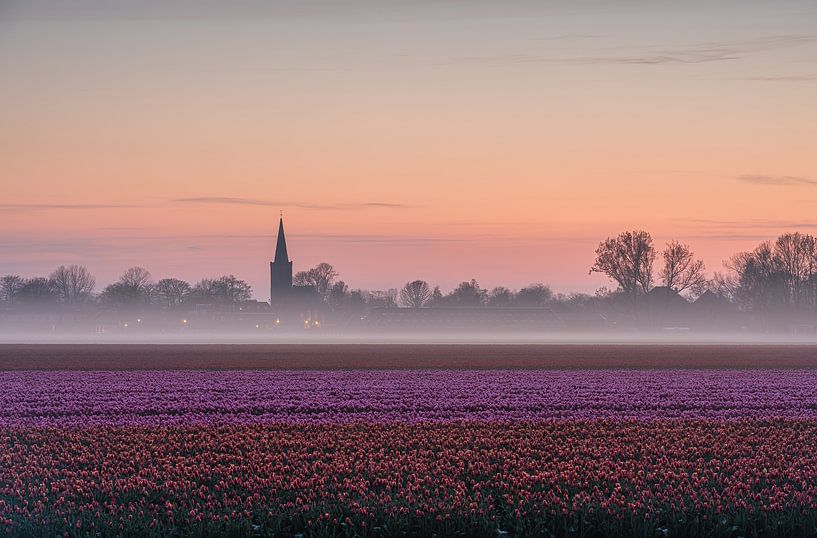 Tulpenveld, mistbank, kerk, kleurrijke horizon van Jeroen de Jongh