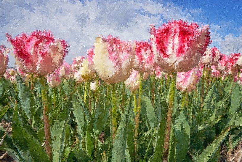 close-up van kleurrijke tulpen van eric van der eijk