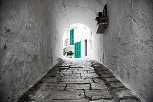 Vue de Monopoli dans les Pouilles en Italie