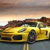 Porsche 718 Cayman GT4 RS sur Gert Hilbink