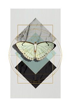 Abstracts with Butterfly van Marja van den Hurk