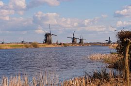 Kinderdijk Holland