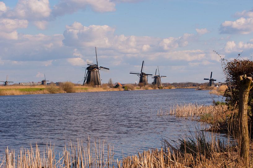 Kinderdijk Holland by Brian Morgan