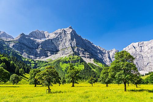 The Große Ahornboden in the Rißtal valley near the Eng Alm in Austria