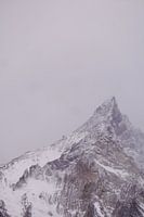 Gefrorene Majestät - Torres del Paine
