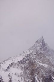 Frozen Majesty - Torres del Paine by Gwendolyn Pronk