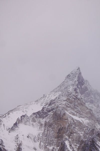 Gefrorene Majestät - Torres del Paine von Gwendolyn Pronk