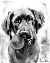 Labrador Retriever by Paintings Liesbeth Serlie thumbnail
