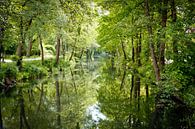 Hollands waterlandschap van Andy Van Tilborg thumbnail