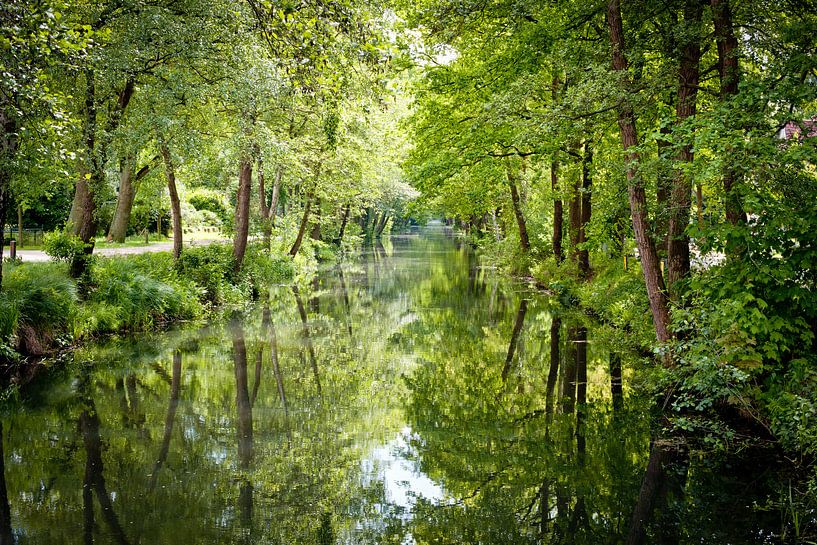 Niederländische Wasserlandschaft von Andy Van Tilborg