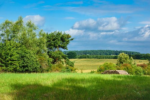 Landschaft an der Mecklenburger Seenplatte