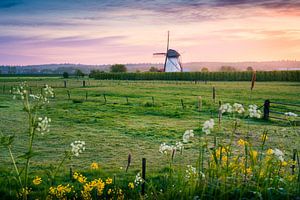 Une matinée haute en couleurs dans la Betuwe