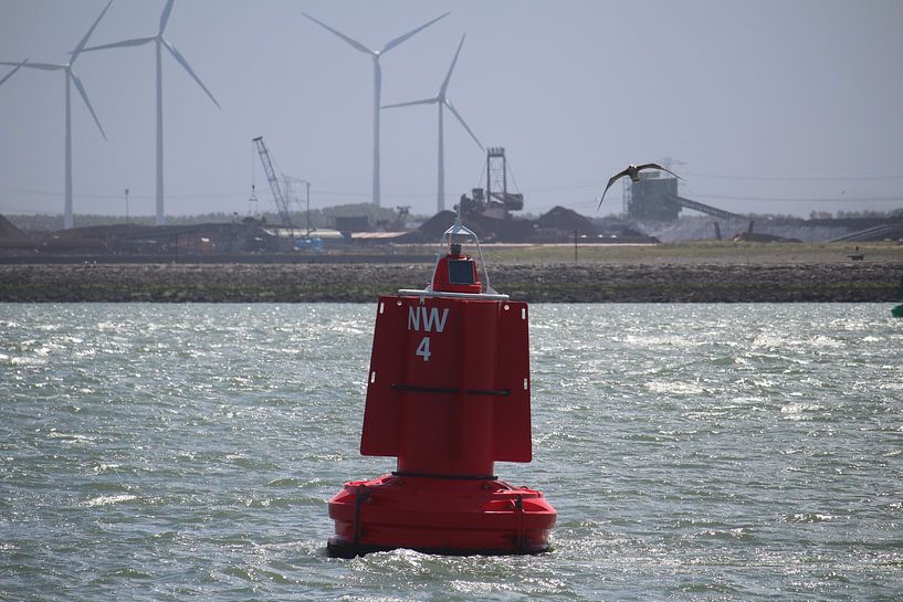Boei n de haven van hoek van Holland par Clicksby JB
