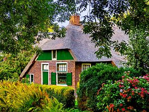 Haus in Giethoorn