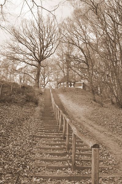 Montez la colline par Heleen de Silva