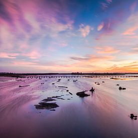 Nature reserve 'tRoegwold by Gert Brink