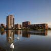 Zoetermeer Oosterheem Skyline und Swan von RB-Photography