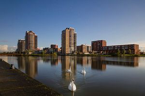 Zoetermeer Oosterheem Skyline en Zwanen van Ricardo Bouman