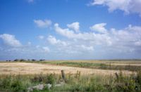 Graanlandschap op Rømø