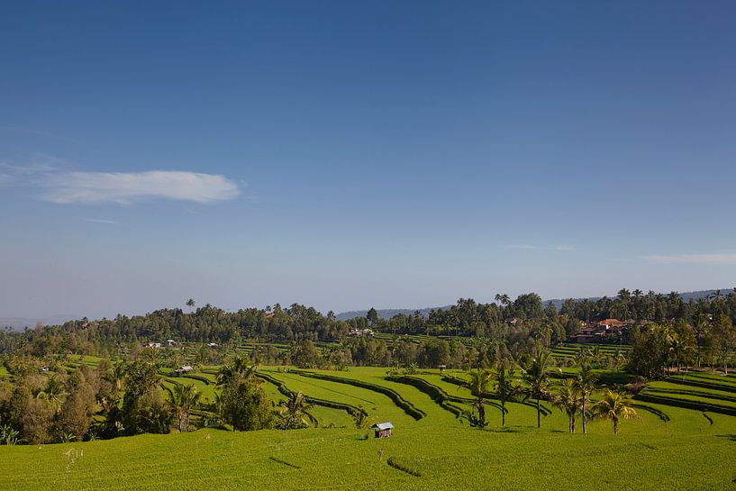 Une terrasse de riz traditionnelle dans la belle vallée de Sidemen, à l'est de Bali, en Indonésie par Tjeerd Kruse