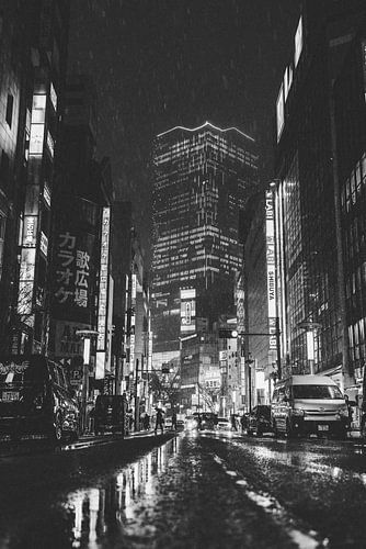 De Dynamiek van Tokyo: Borden, Geluiden en Culturele Vibraties