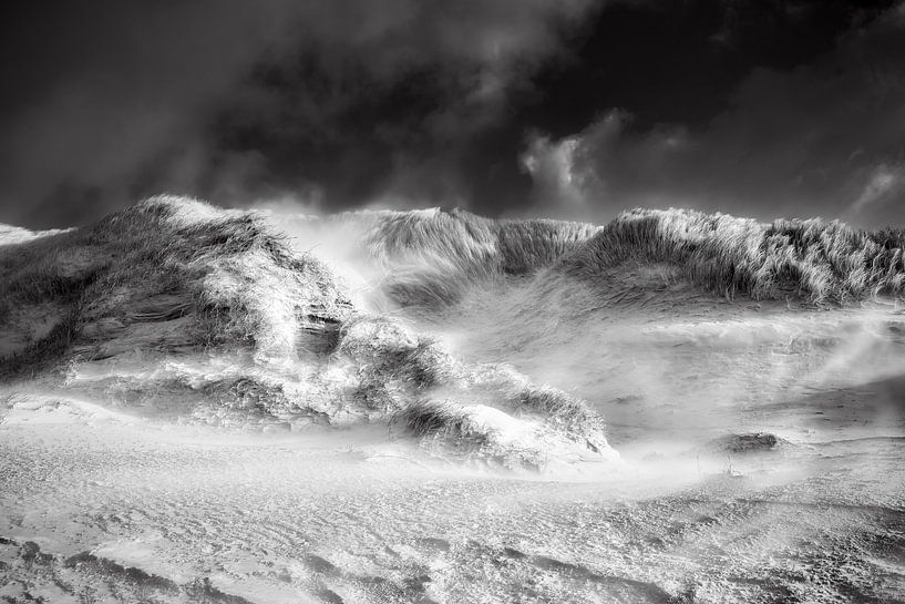 Storm in the dune landscape by eric van der eijk